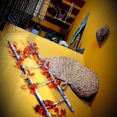Bed & Breakfast Shabby Chic