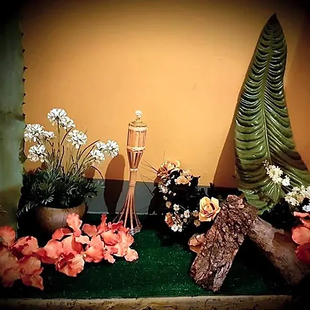 Shabby Chic