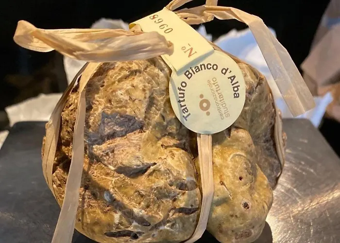 Shabby Chic Bed & Breakfast *